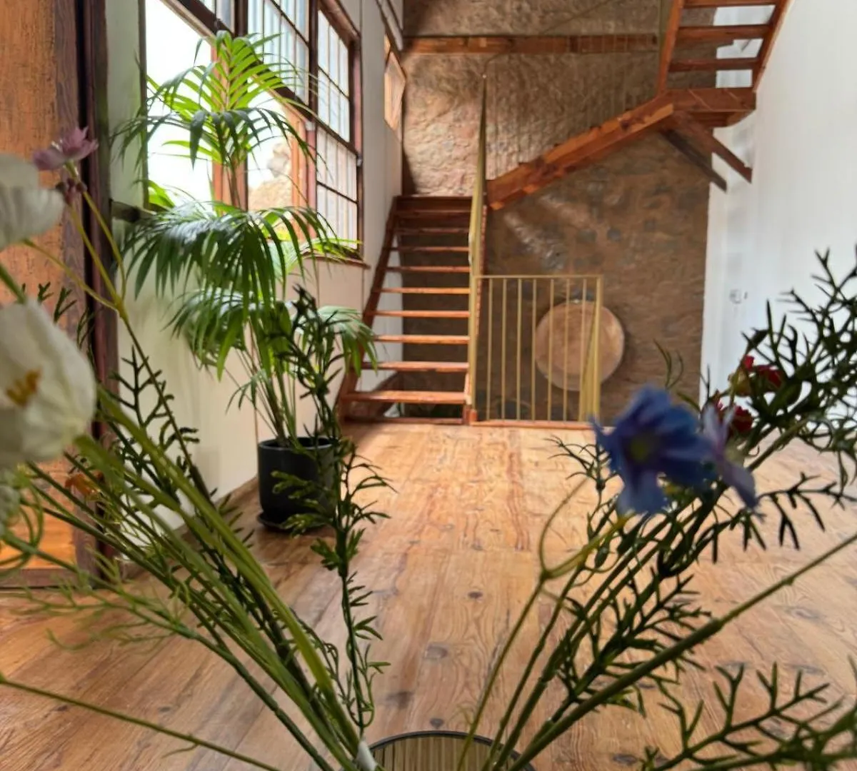 Laguna Cool Living La Laguna  Hotel La Laguna (Tenerife)